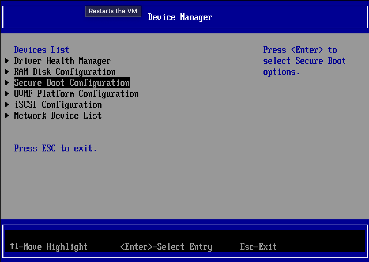 UEFI device manager